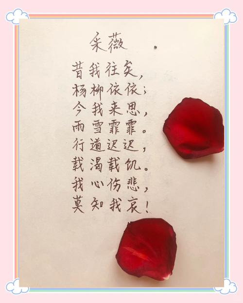 关于我的文集《温婉忆昔》  第1张