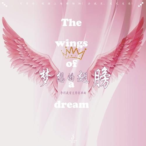 我有翅膀，只等点亮  第1张