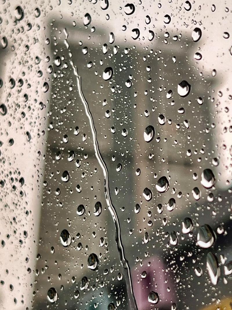 今天下雨了  第1张