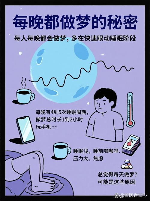 梦的规律  第1张