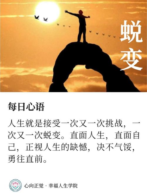 成长的蜕变  第1张