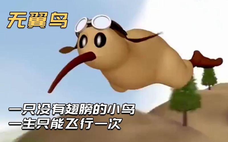 没有翅膀的飞翔  第1张