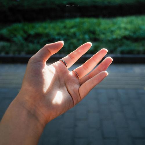 你手掌上有片阳光。  第1张