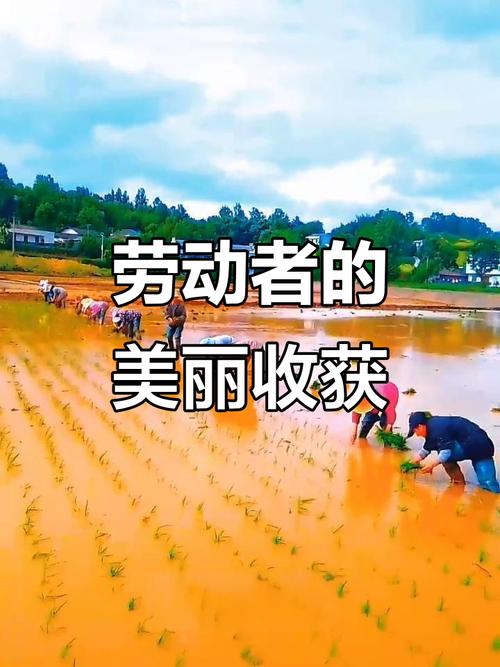 劳动也是一种美  第1张