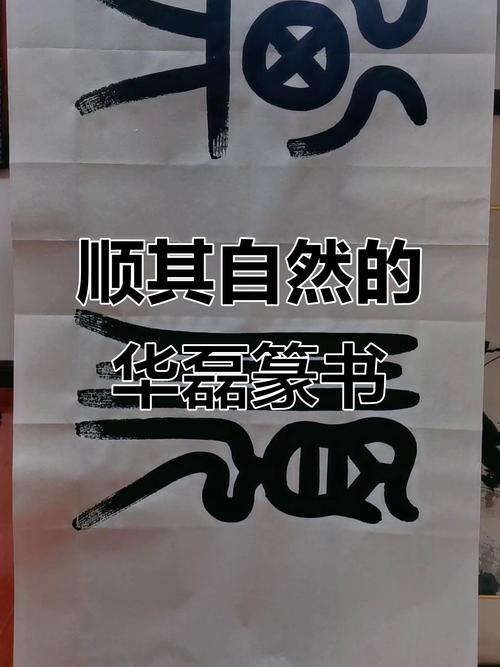 顺其自然  第1张