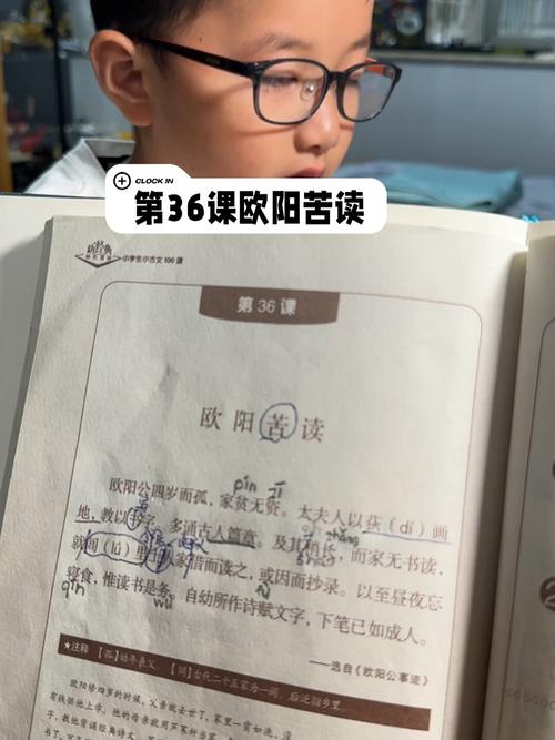 欧阳苦读的经典语录 欧阳苦读视频播放  第1张