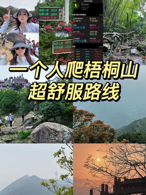 梧桐山，我一个人走的路。  第1张