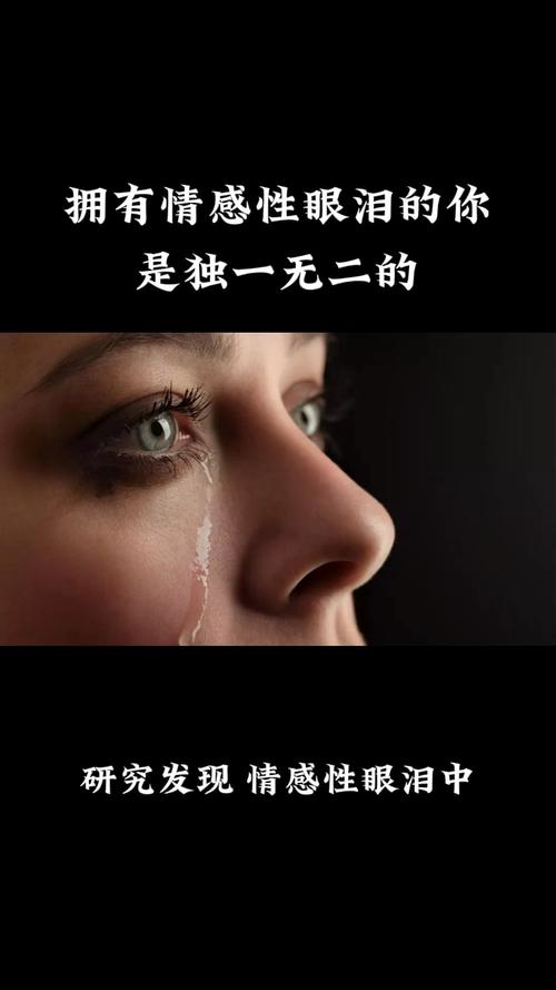 噙着的眼泪别流下  第1张