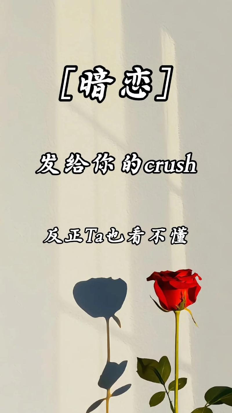 我也舍不得。  第1张