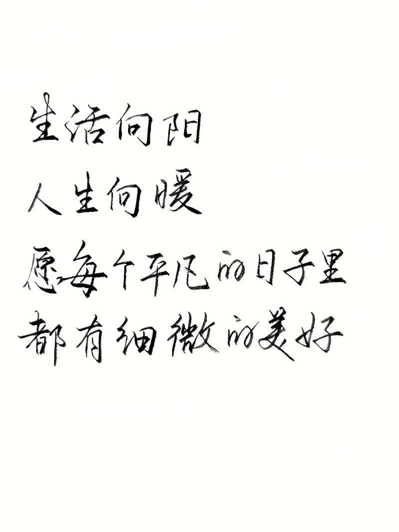 愿在不太容易过的日子里 有阳光暖你心。  第1张