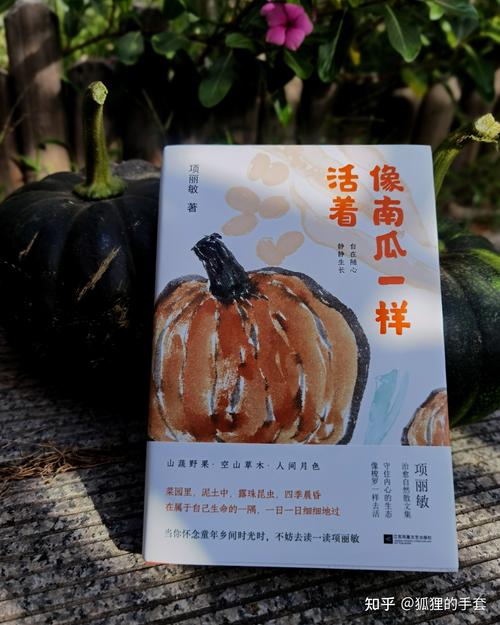 一定要爱着点什么  第1张