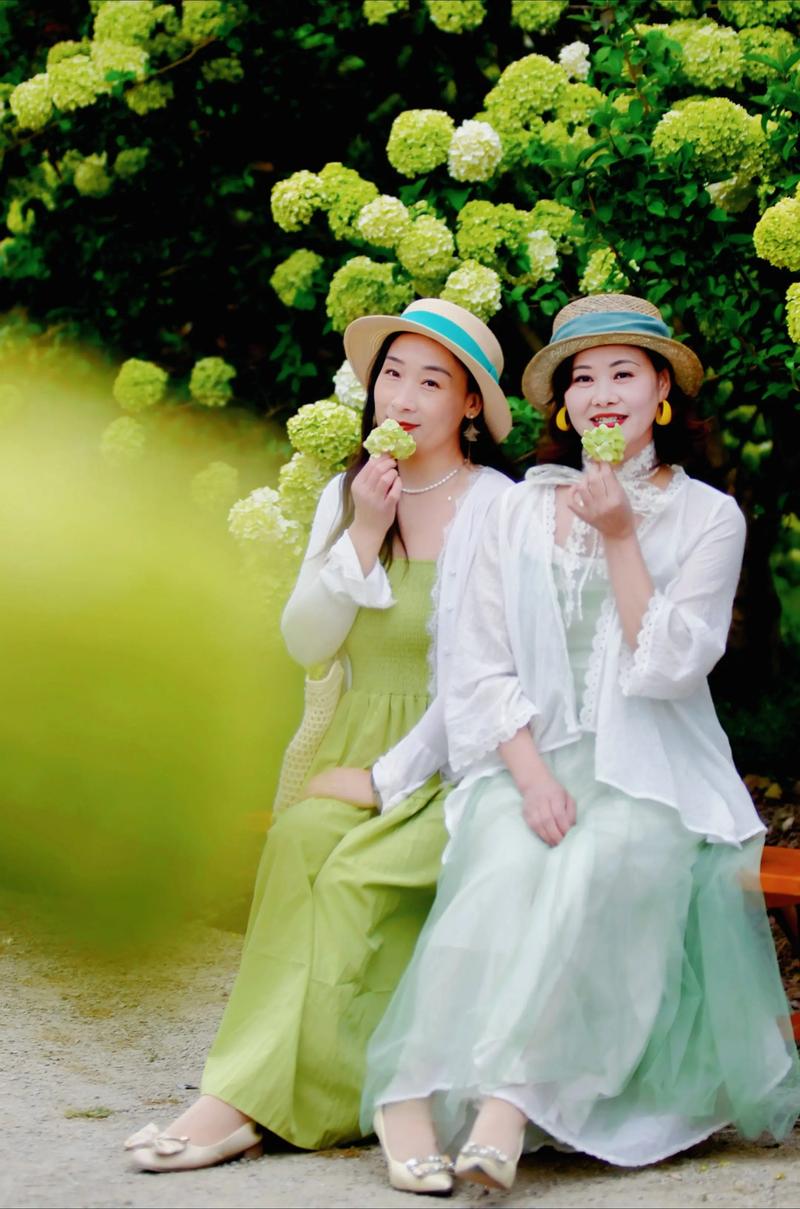 梦旅花相伴  第1张