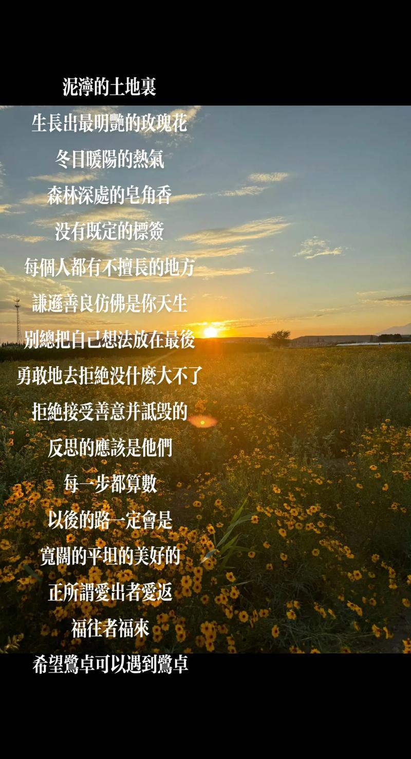 越是泥泞的道路，越是容易开出花来。  第1张