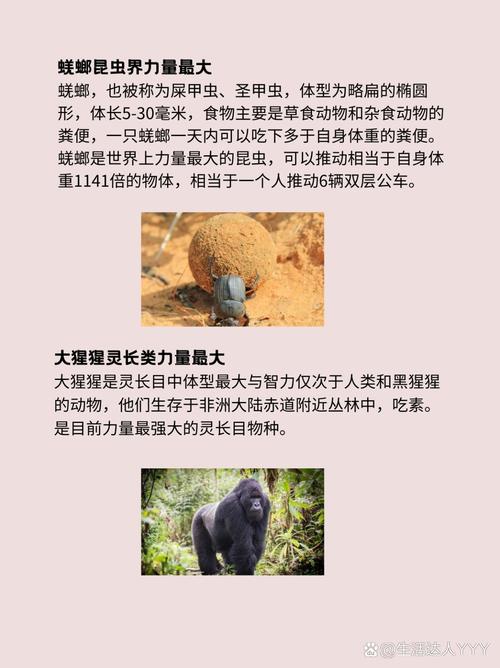 生命·高度  第1张