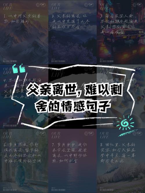 眷恋便是难割舍  第1张