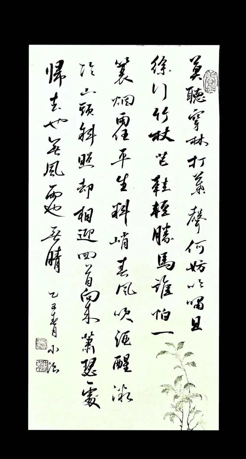 也无风雨也无晴  第1张