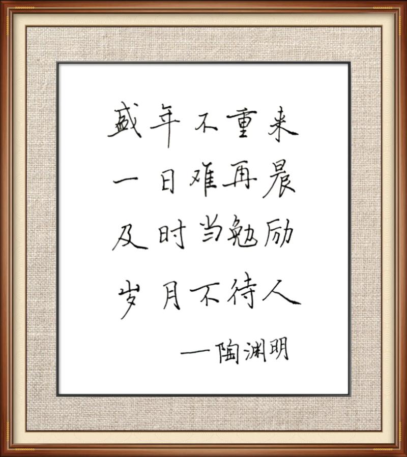 盛年不重来，一日难再晨  第1张