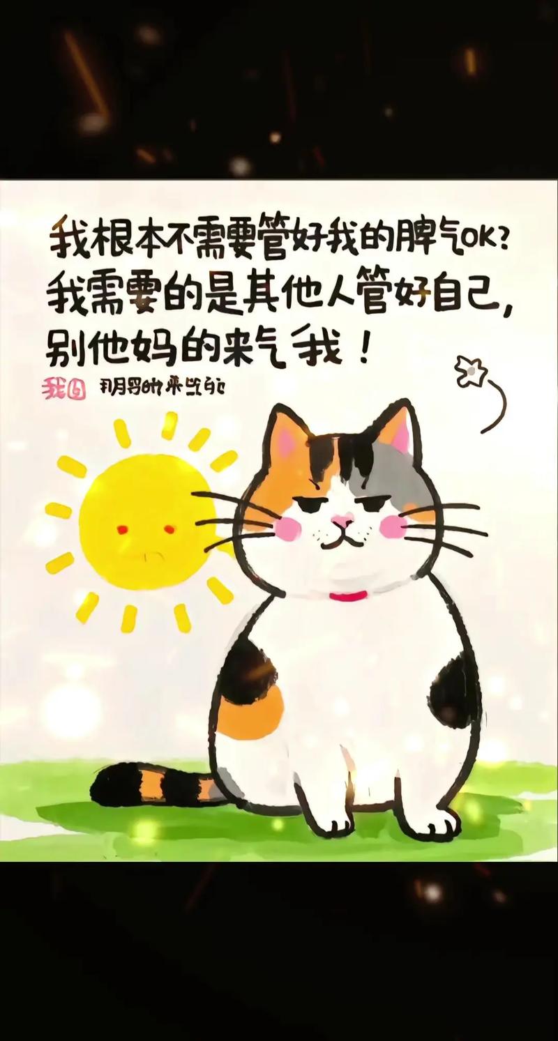 我就是我，不一样的烟火  第1张