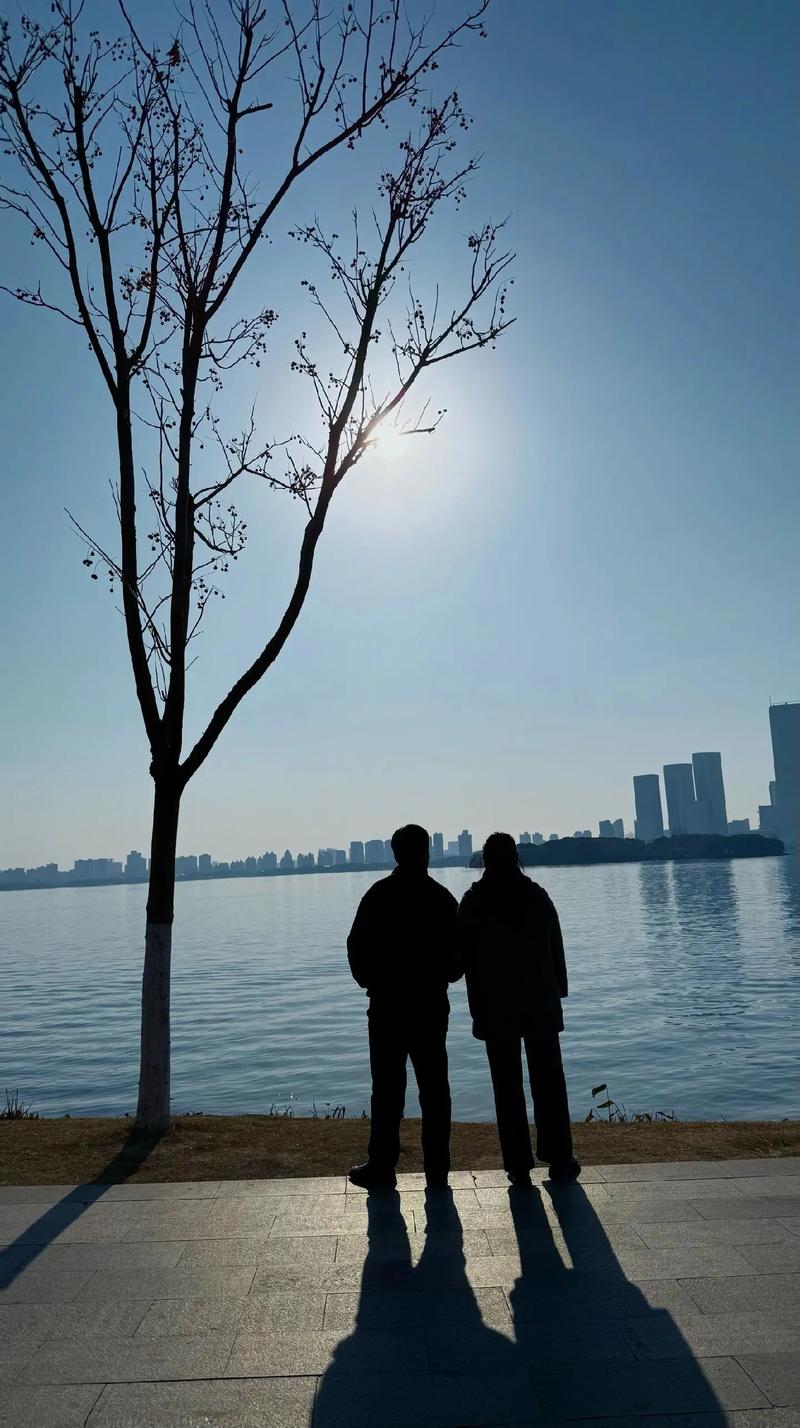 还没老，你就等着夕阳收残骸  第1张