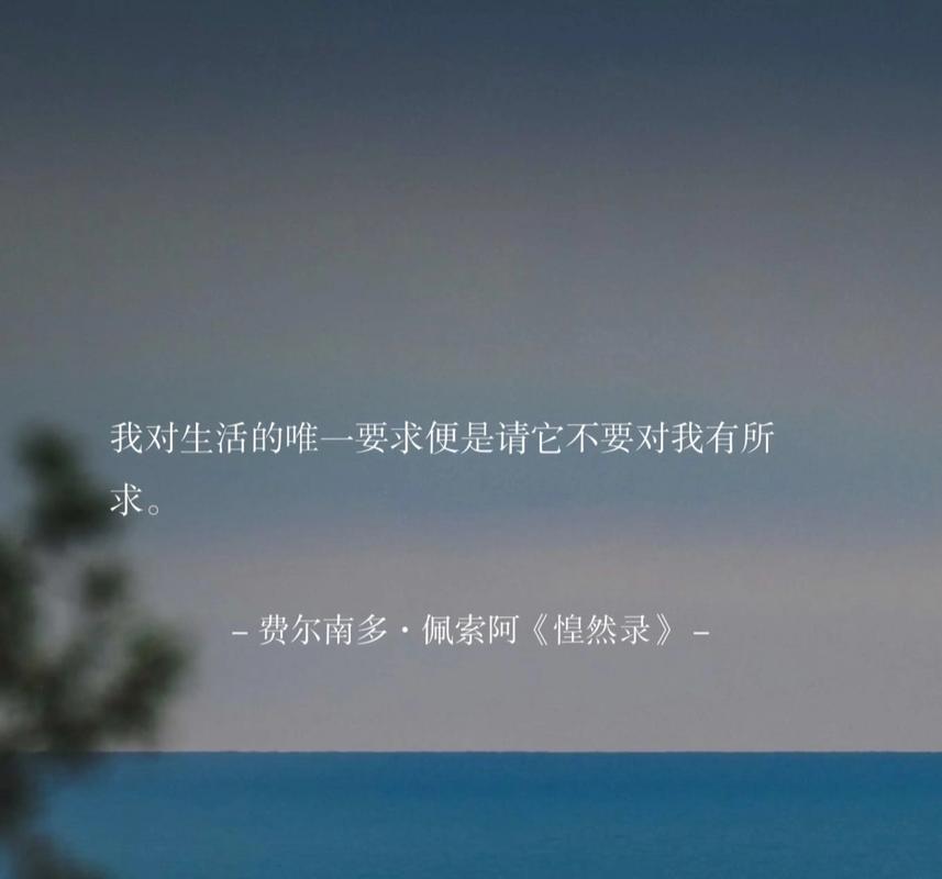 《把行李给我吧，我正好缺一段有重量的旅途》  第1张
