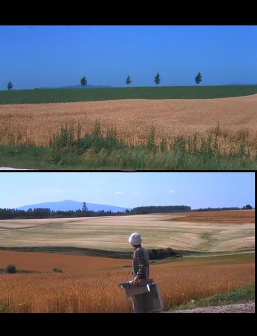 蒙先生的青春文选《梦里梦外》  第1张