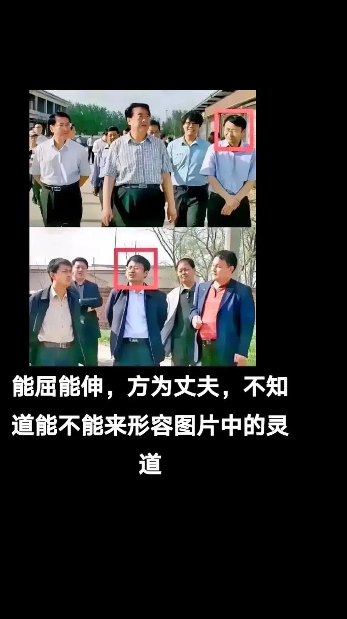 能伸能曲真丈夫  第1张