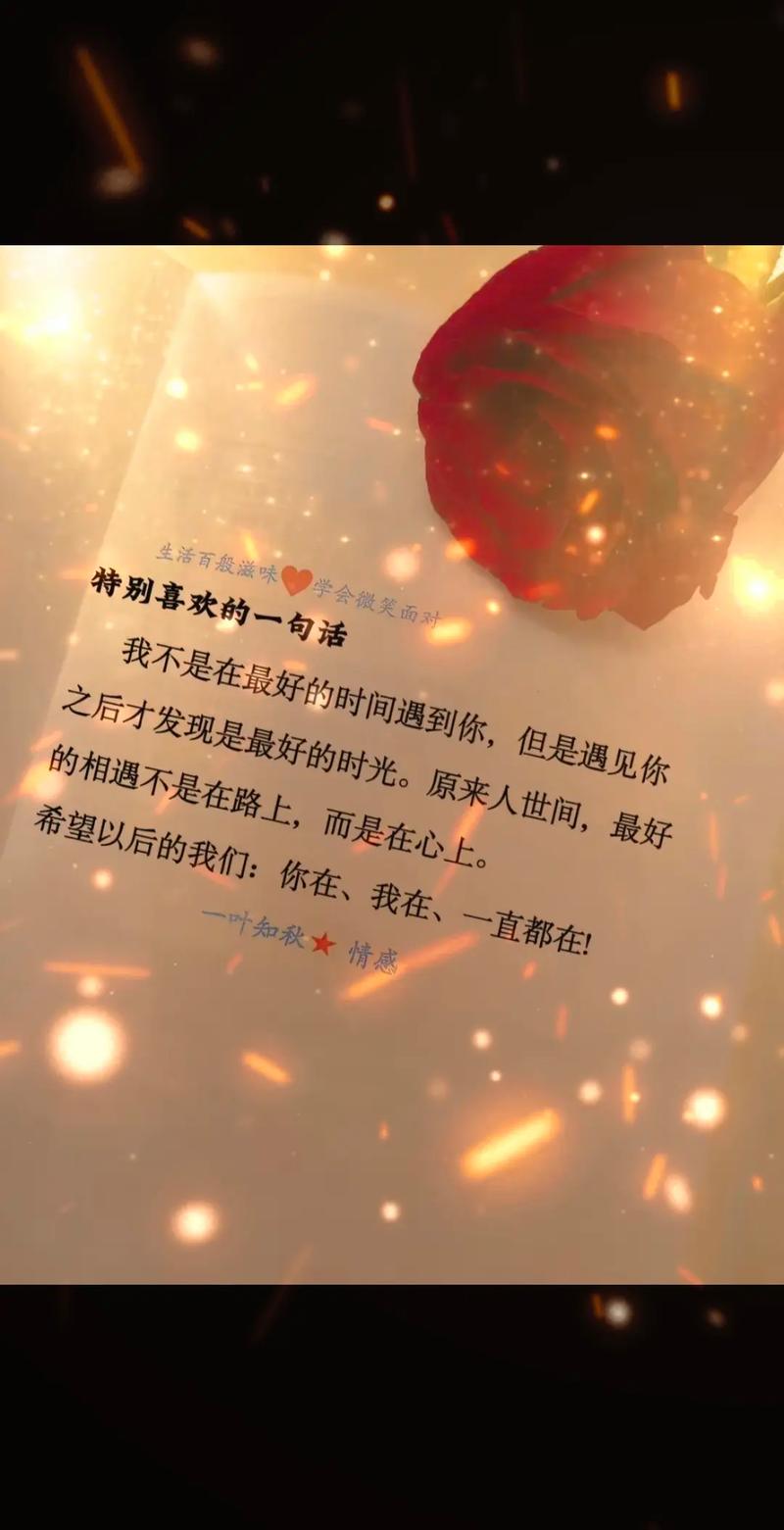 在遇见你  第1张