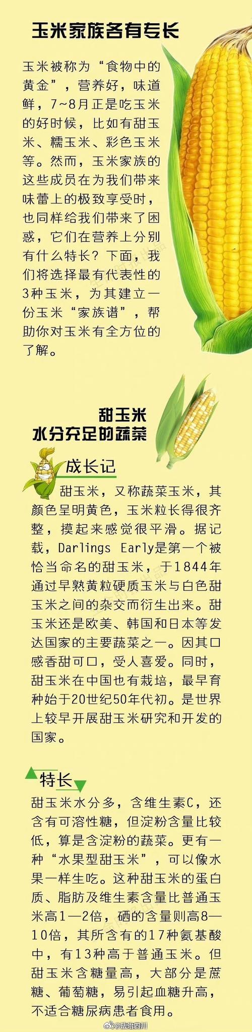 苞谷的念想  第1张