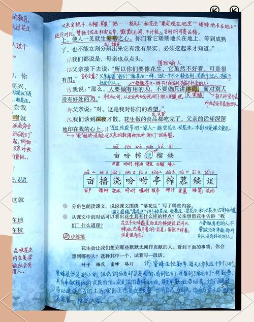 花生的念想  第1张