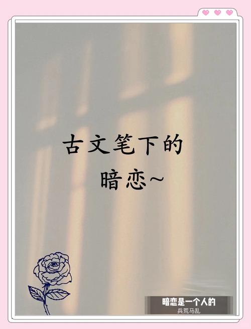 默默喜欢  第1张