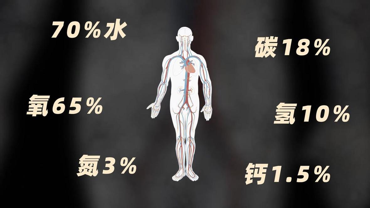 假如人类都掉进水里  第1张