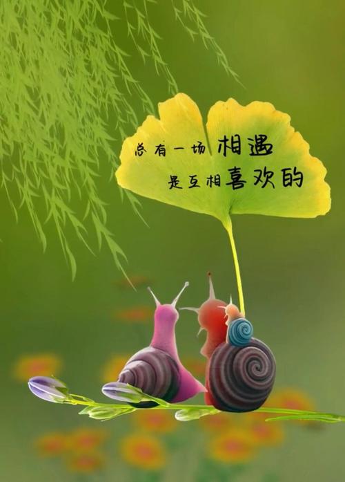 一份淡然的相守  第1张