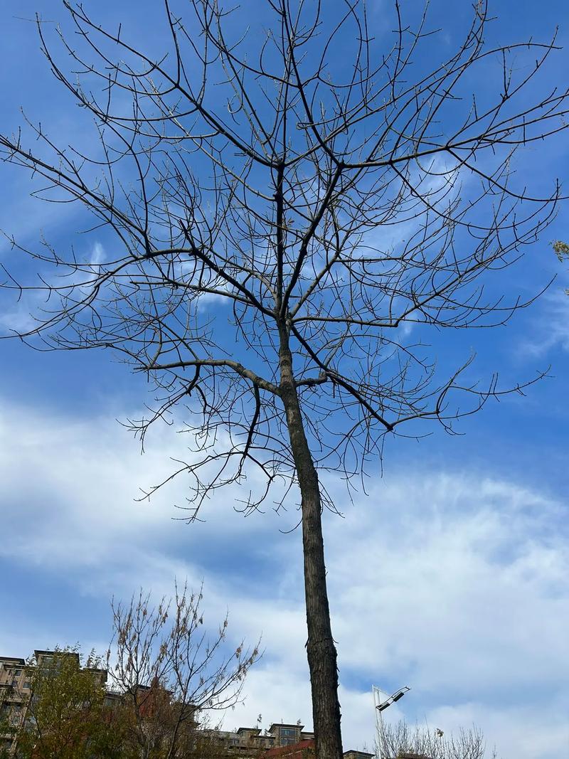 蓝天下的你我  第1张