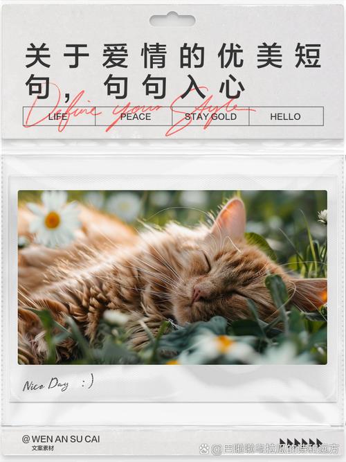 爱情就入心你  第1张