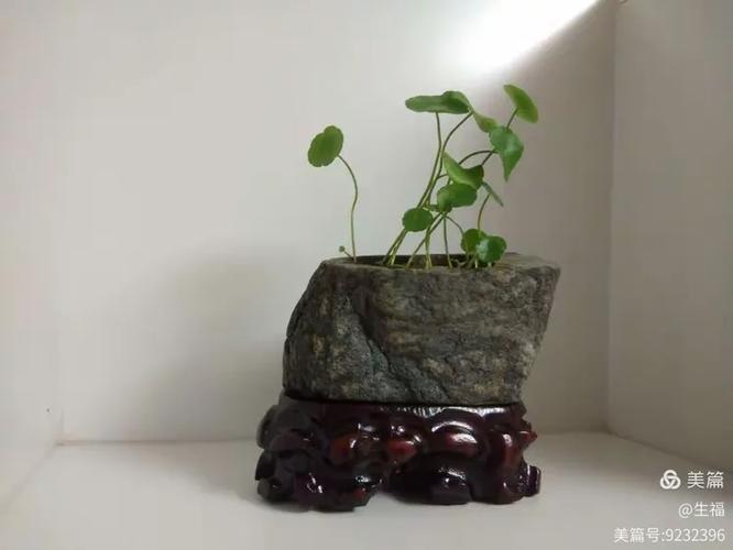 一颗清喜的心  第1张