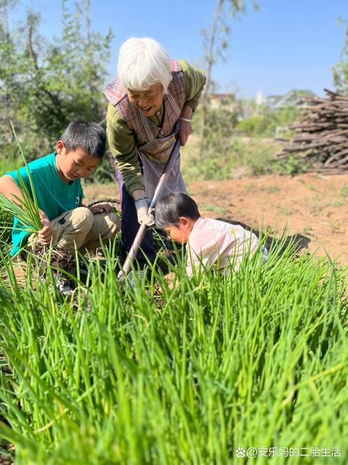 阳光下生活，阳光下劳动  第1张