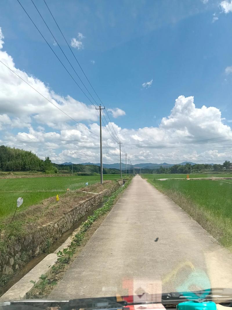 “调研”路上“民生”风景  第1张