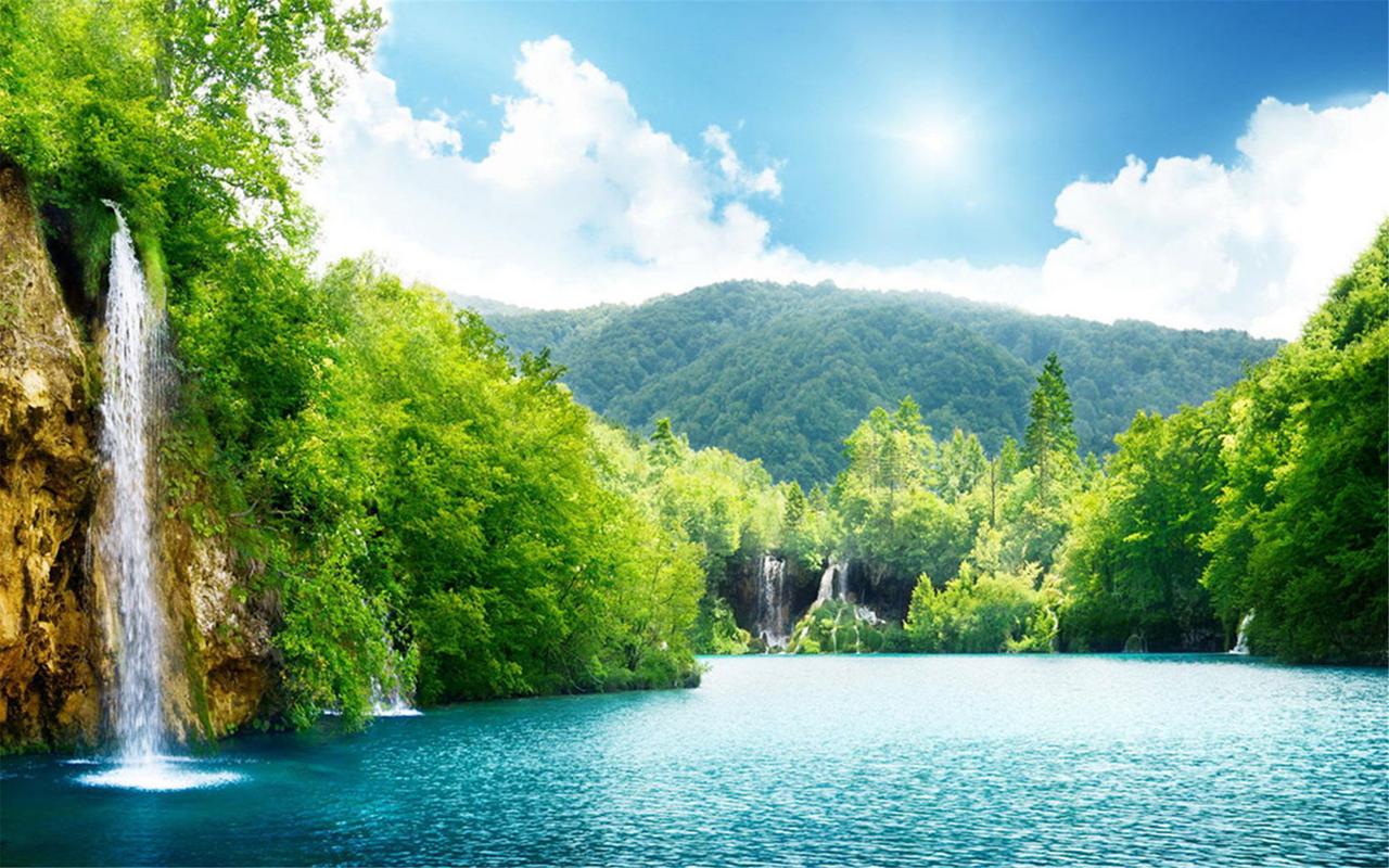 叶之情，悟自然之爱  第1张