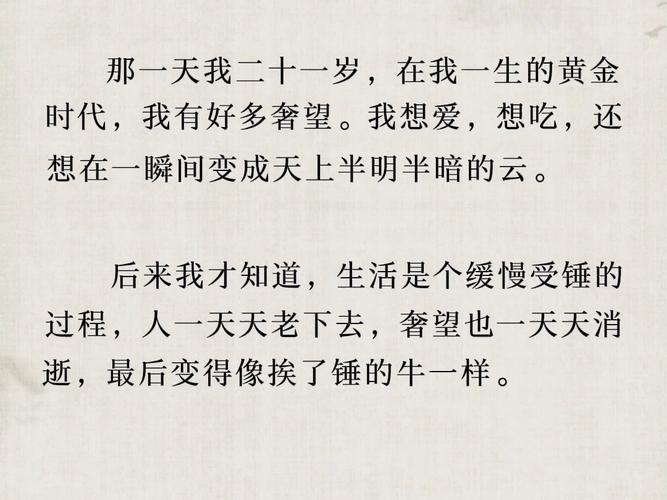 王小波经典语录  第1张