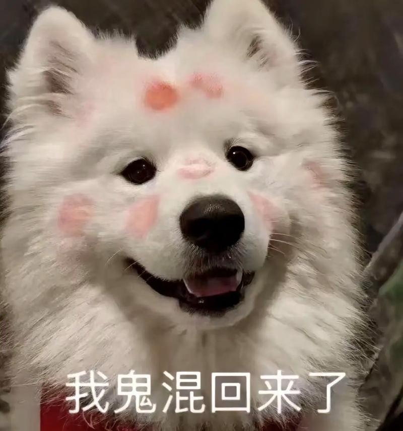 我，回来了...  第1张