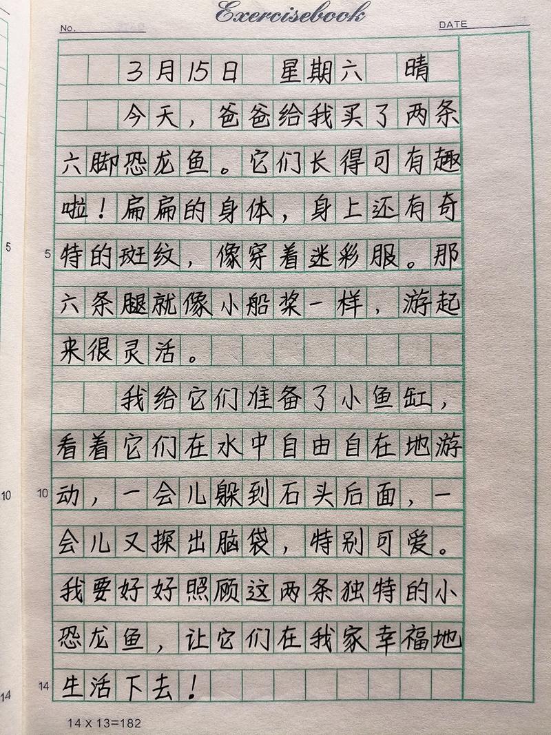 日记（三）  第1张