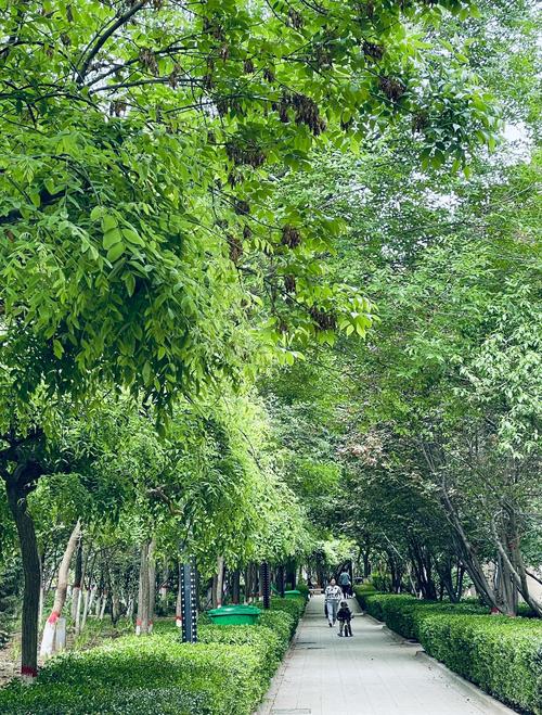 风住尘香  第1张