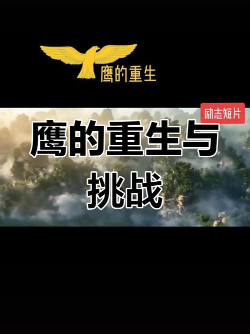 感悟《鹰的重生》蜕变，获得新生  第1张