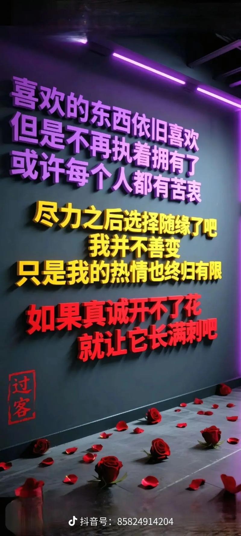 付出，就不要后悔；失去，也不要遗憾  第1张