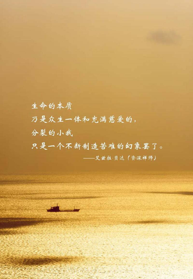 走进的是心灵，拥有的是感动  第1张