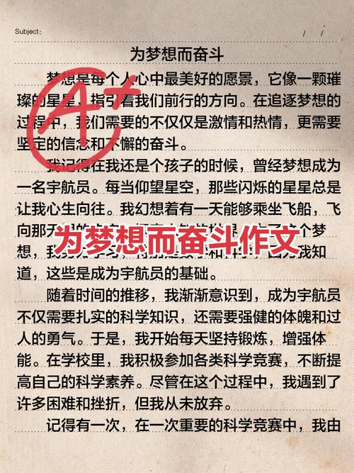 为自己的梦想而奋斗  第1张