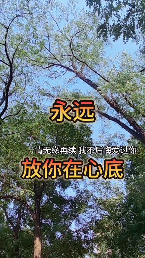 爱在心底流淌  第1张