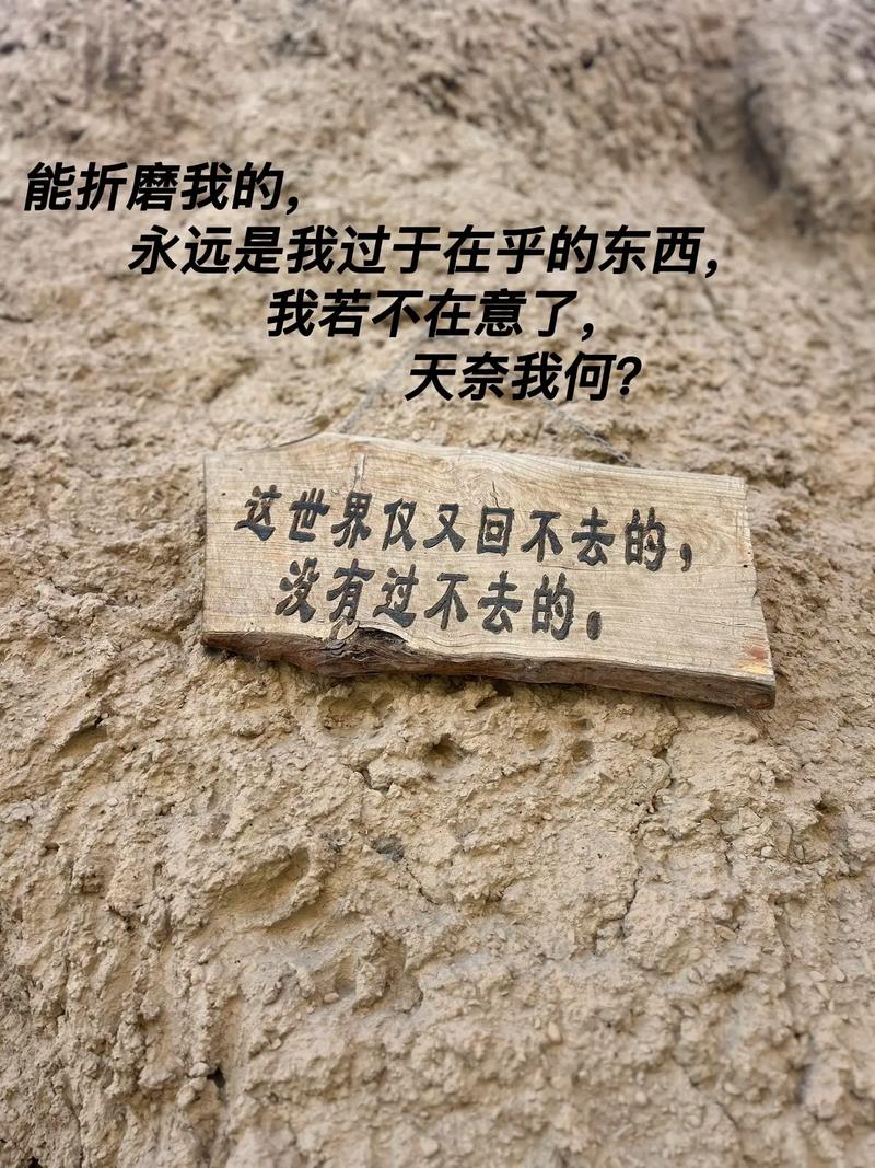 卑微的承诺  第1张