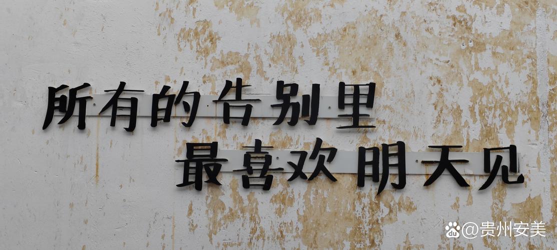 请安静的忘记我  第1张