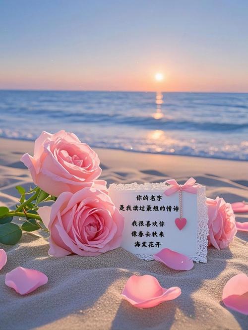 谢谢你给的温柔  第1张